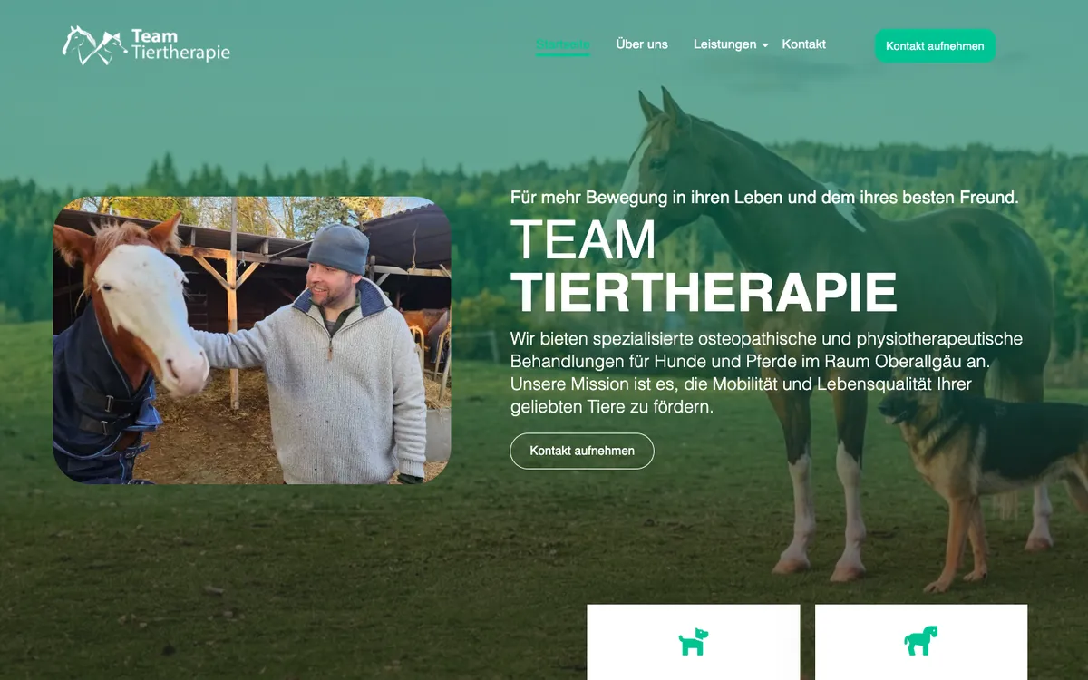 Website Team Tiertherapie
